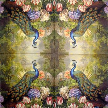 001 Peacock - 3-ply - Adriana Cirstea
